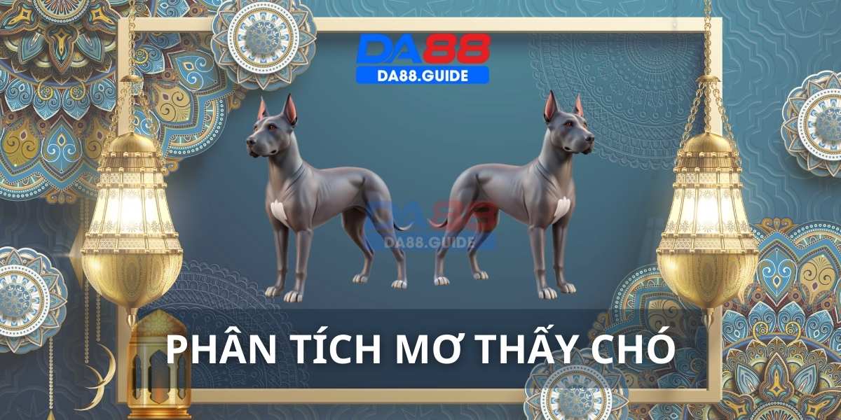 Luận giải chi tiết giấc mơ thấy chó trong năm mới