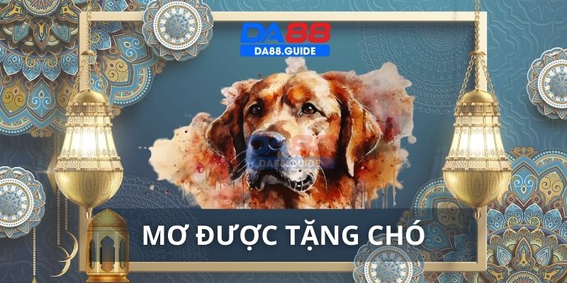 Nằm mộng thấy được người khác tặng một con chó