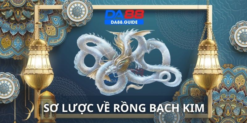 Sơ lược về phương pháp soi cầu Rồng Bạch Kim hấp dẫn